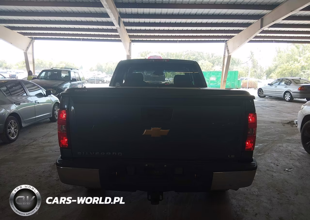 2013 Chevrolet Silverado 1500 Ls VIN:1GCRCREA4DZ169802 - 16