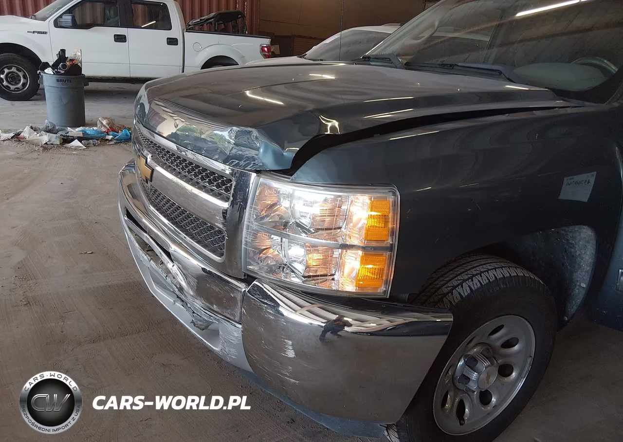 2013 Chevrolet Silverado 1500 Ls VIN:1GCRCREA4DZ169802 - 19