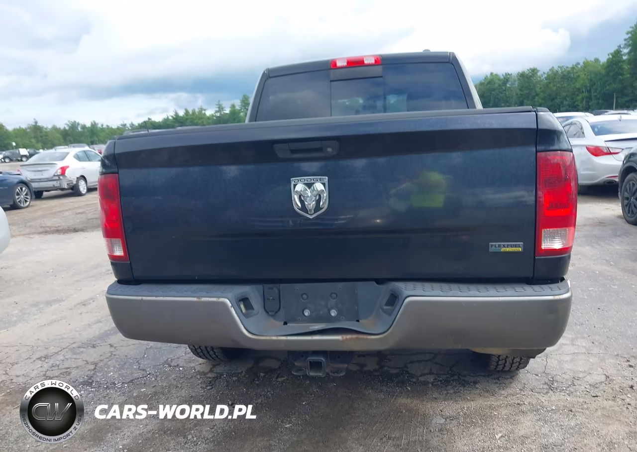 2010 Dodge Ram 1500 Slt-Sport-Trx VIN:1D7RV1CP2AS260869 - 12