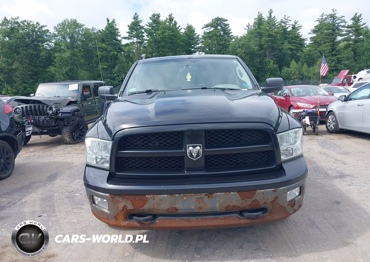2010 Dodge Ram 1500 Slt-Sport-Trx VIN:1D7RV1CP2AS260869 - 13