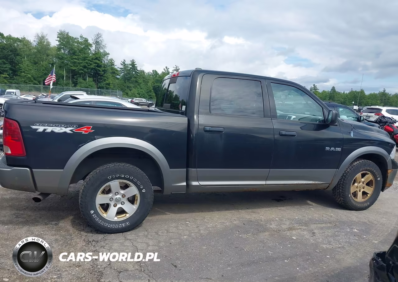 2010 Dodge Ram 1500 Slt-Sport-Trx VIN:1D7RV1CP2AS260869 - 14