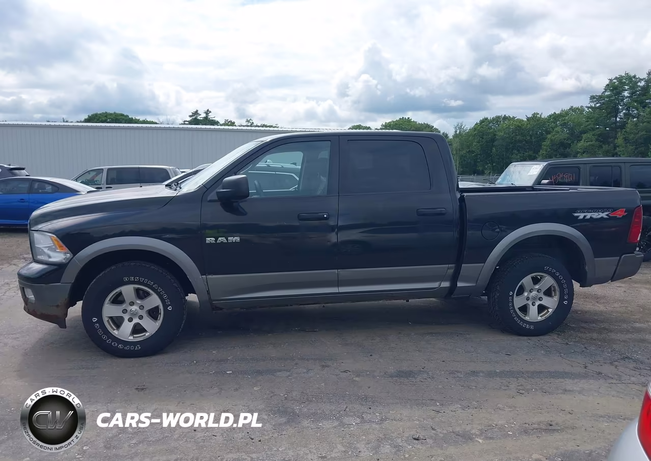 2010 Dodge Ram 1500 Slt-Sport-Trx VIN:1D7RV1CP2AS260869 - 15