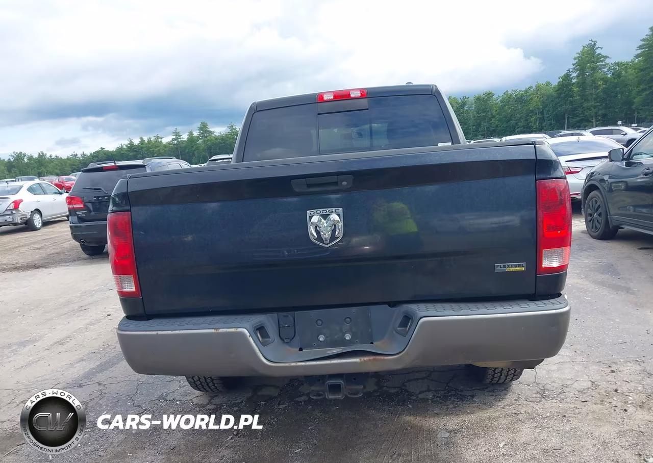 2010 Dodge Ram 1500 Slt-Sport-Trx VIN:1D7RV1CP2AS260869 - 17