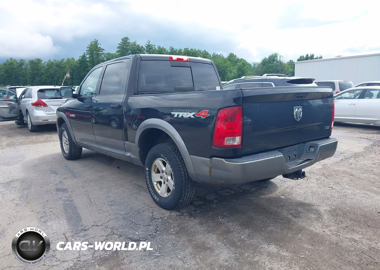 2010 Dodge Ram 1500 Slt-Sport-Trx VIN:1D7RV1CP2AS260869 - 3