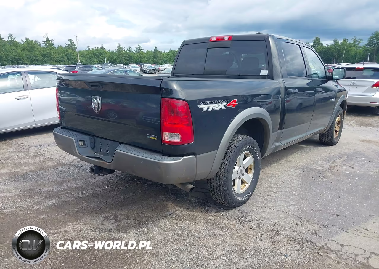 2010 Dodge Ram 1500 Slt-Sport-Trx VIN:1D7RV1CP2AS260869 - 4
