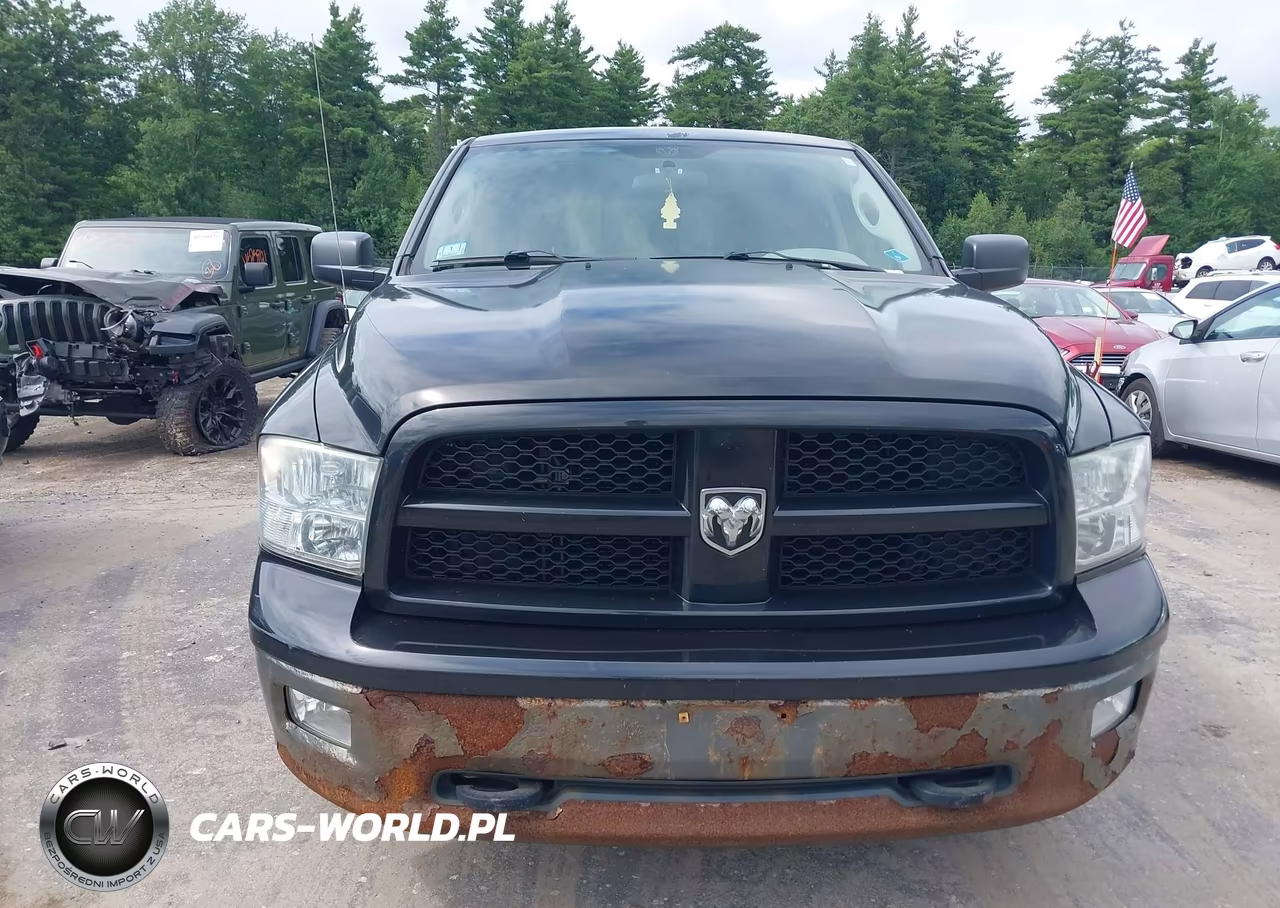 2010 Dodge Ram 1500 Slt-Sport-Trx VIN:1D7RV1CP2AS260869 - 6