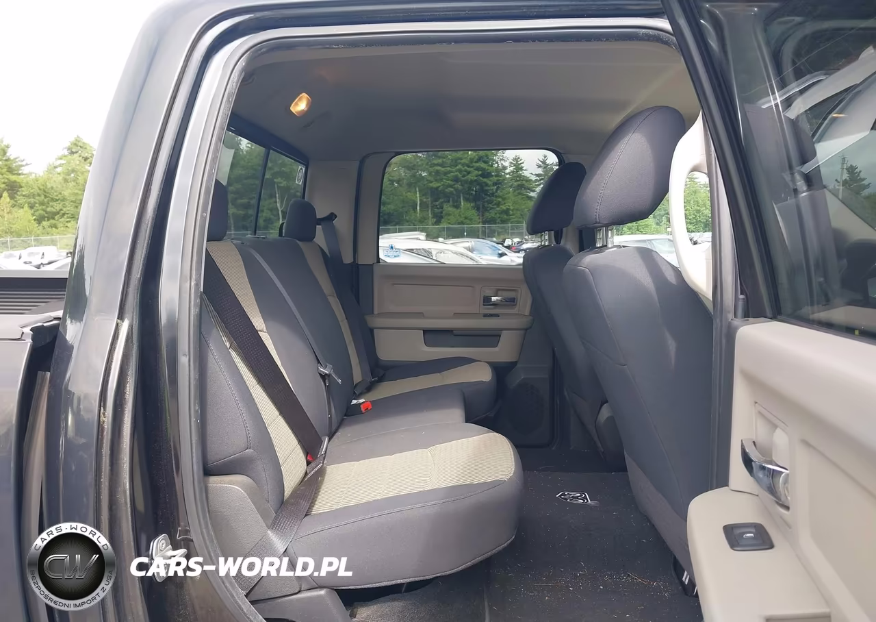 2010 Dodge Ram 1500 Slt-Sport-Trx VIN:1D7RV1CP2AS260869 - 8