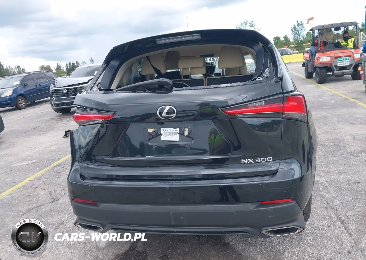 2021 Lexus Nx 300 VIN:JTJDARBZ6M2182776 - 17