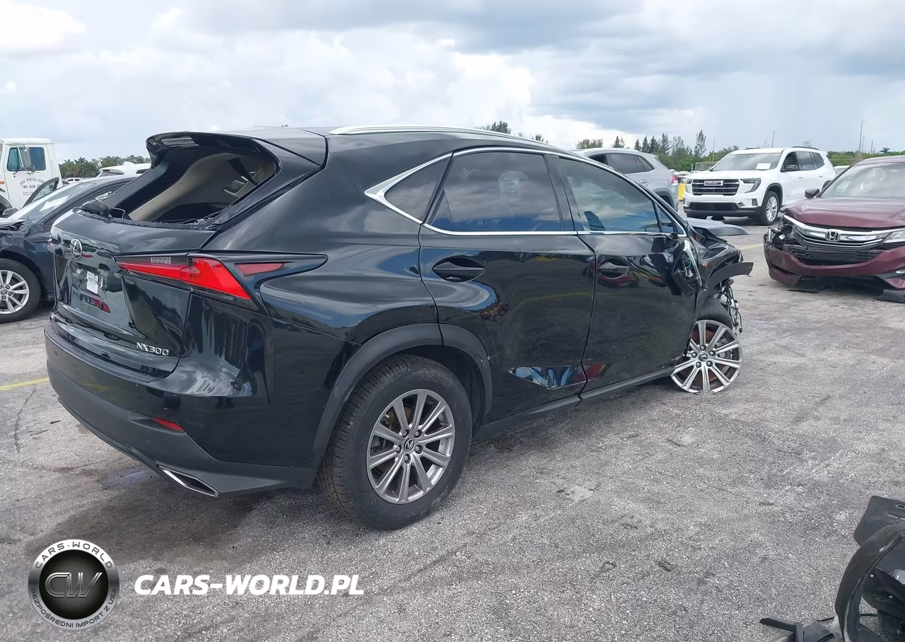 2021 Lexus Nx 300 VIN:JTJDARBZ6M2182776 - 4