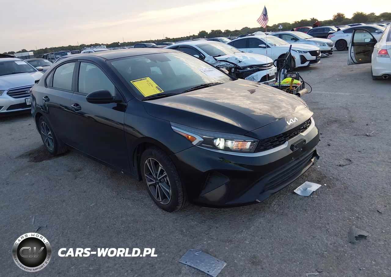 2022 Kia Forte Lxs VIN:3KPF24AD4NE442162 - 1