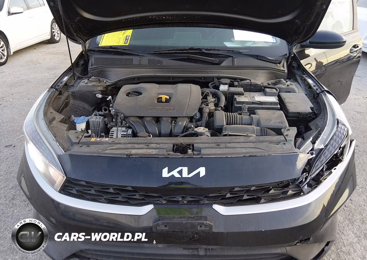 2022 Kia Forte Lxs VIN:3KPF24AD4NE442162 - 10