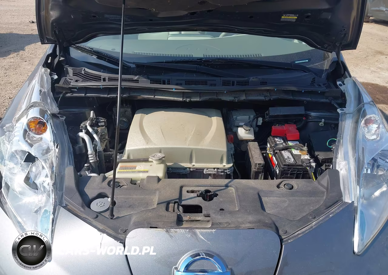 2016 Nissan Leaf Sv VIN:1N4BZ0CP7GC311673 - 10
