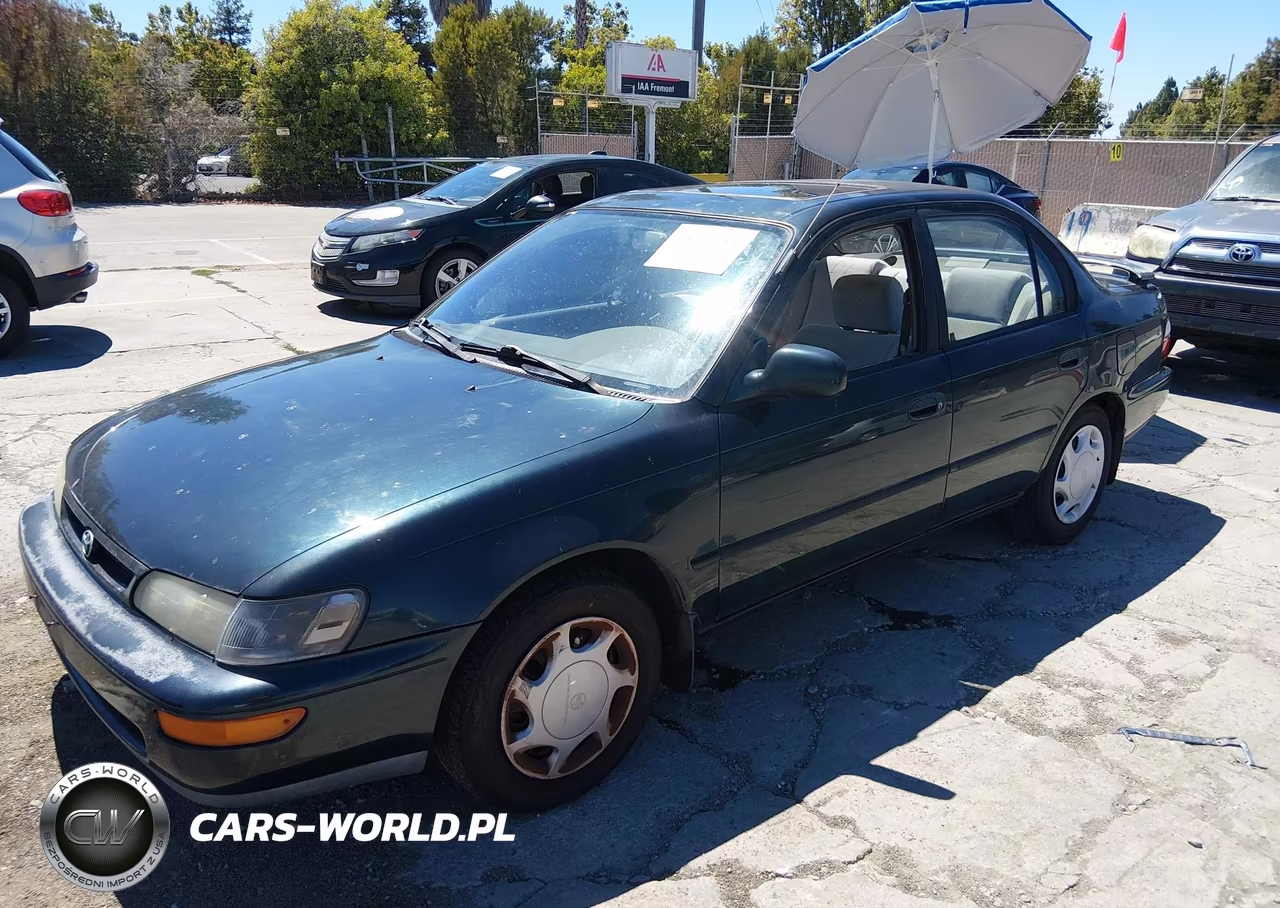1996 Toyota Corolla Dx VIN:1NXBB02E6TZ496698 - 2