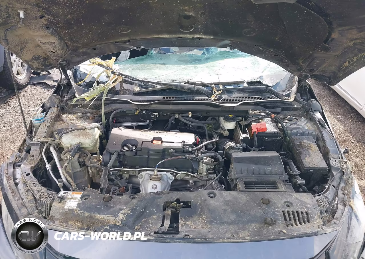 2020 Honda Civic Lx VIN:2HGFC2F69LH560979 - 10