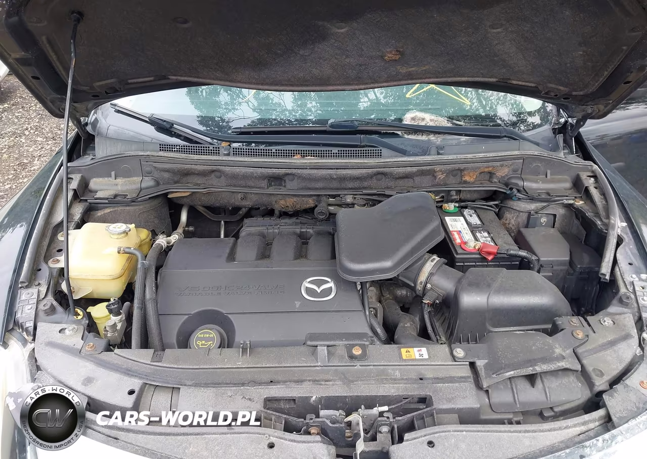 2011 Mazda Cx-9 Touring VIN:JM3TB3CV1B0314525 - 10