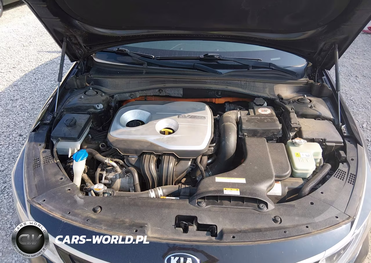 2017 Kia Optima Hybrid Ex VIN:KNAGU4LC6H5006297 - 10