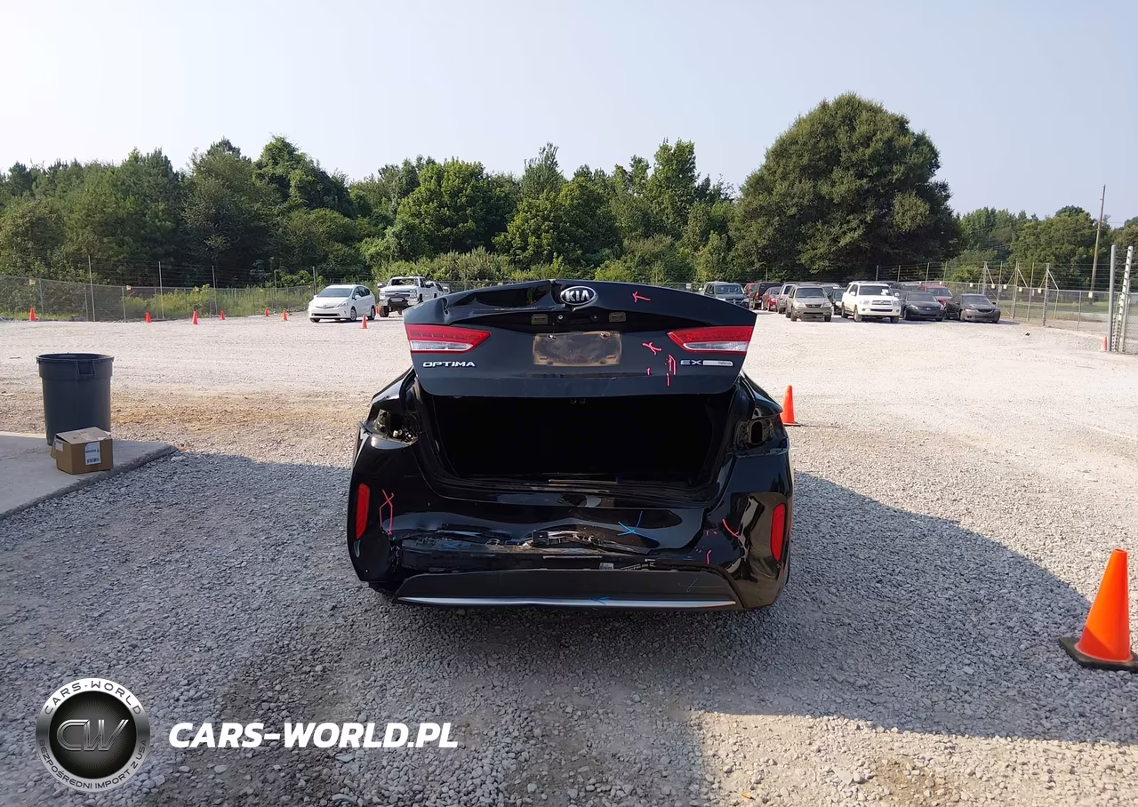 2017 Kia Optima Hybrid Ex VIN:KNAGU4LC6H5006297 - 17