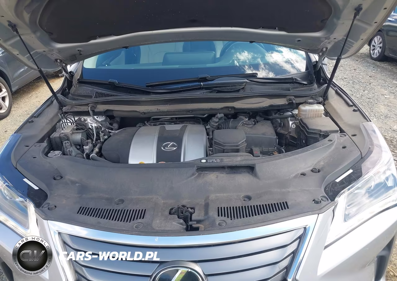 2019 Lexus Rx 350L Premium VIN:JTJDZKCA6K2014920 - 10