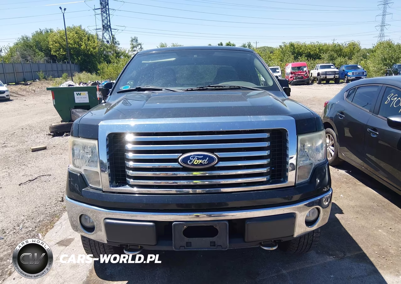 2010 Ford F-150 Fx4-Lariat-Xl-Xlt VIN:1FTFX1EV9AFD17709 - 12