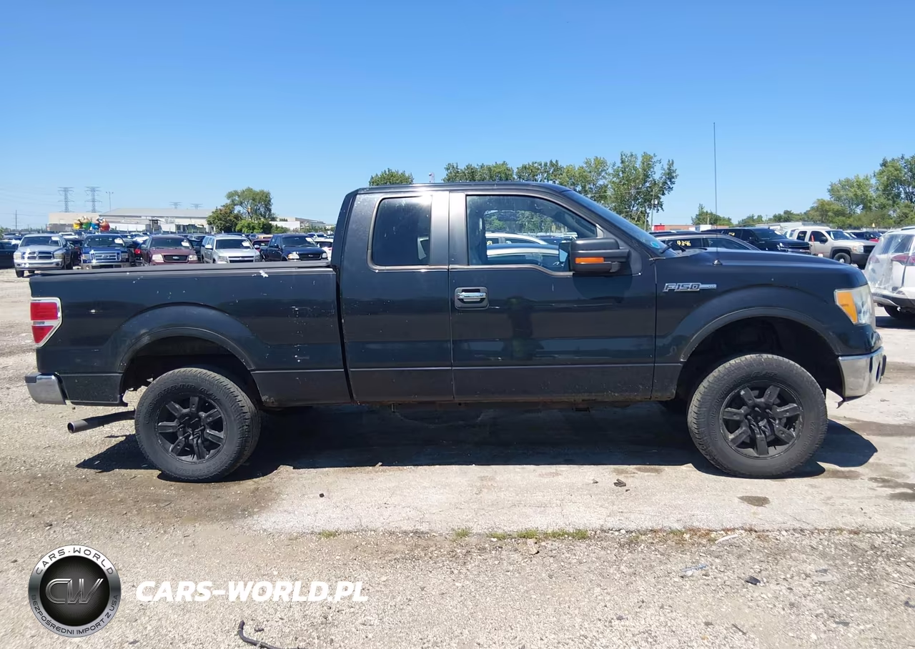 2010 Ford F-150 Fx4-Lariat-Xl-Xlt VIN:1FTFX1EV9AFD17709 - 13