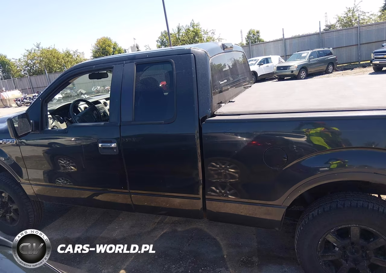 2010 Ford F-150 Fx4-Lariat-Xl-Xlt VIN:1FTFX1EV9AFD17709 - 14