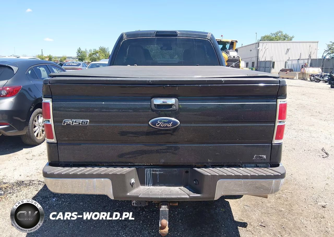 2010 Ford F-150 Fx4-Lariat-Xl-Xlt VIN:1FTFX1EV9AFD17709 - 16