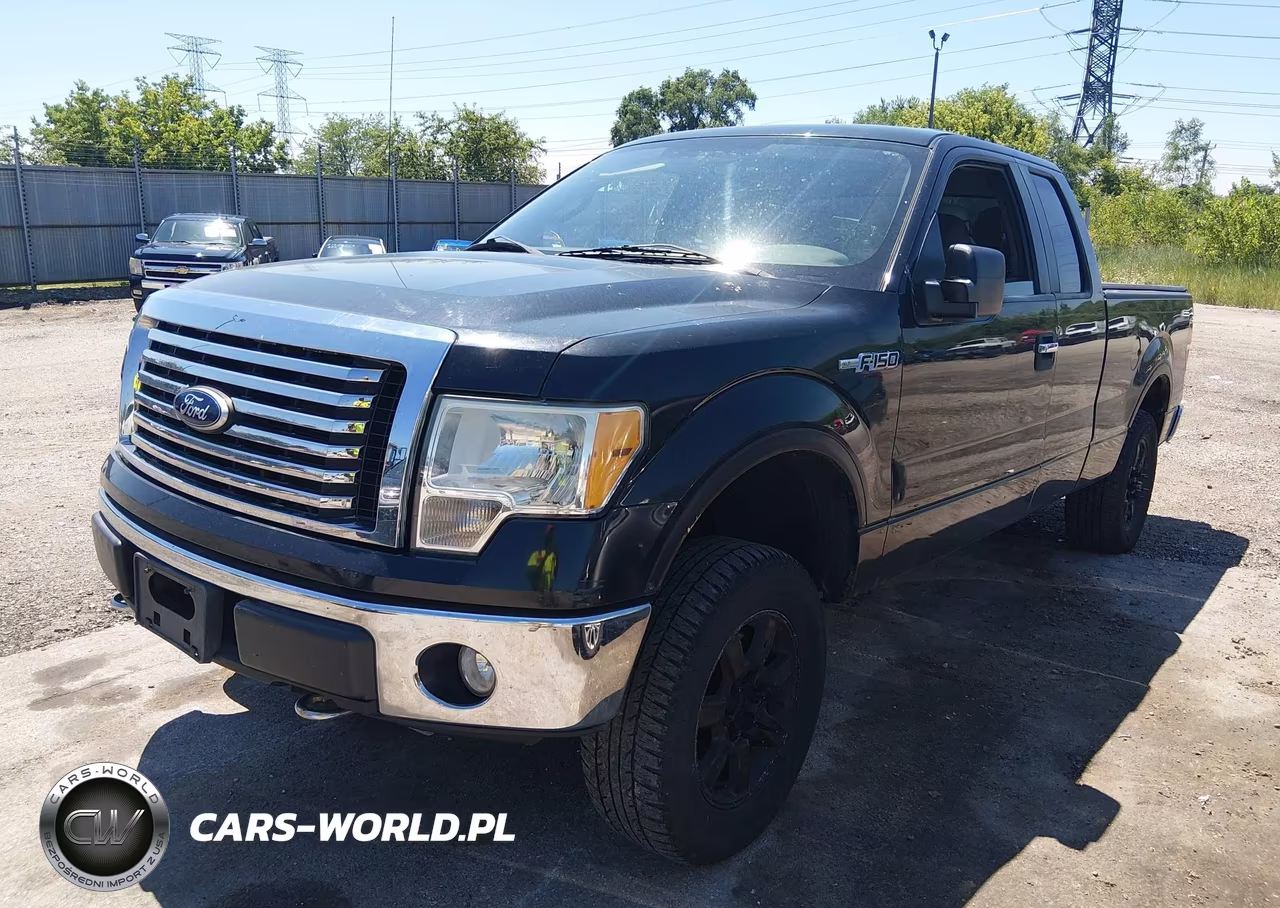 2010 Ford F-150 Fx4-Lariat-Xl-Xlt VIN:1FTFX1EV9AFD17709 - 2