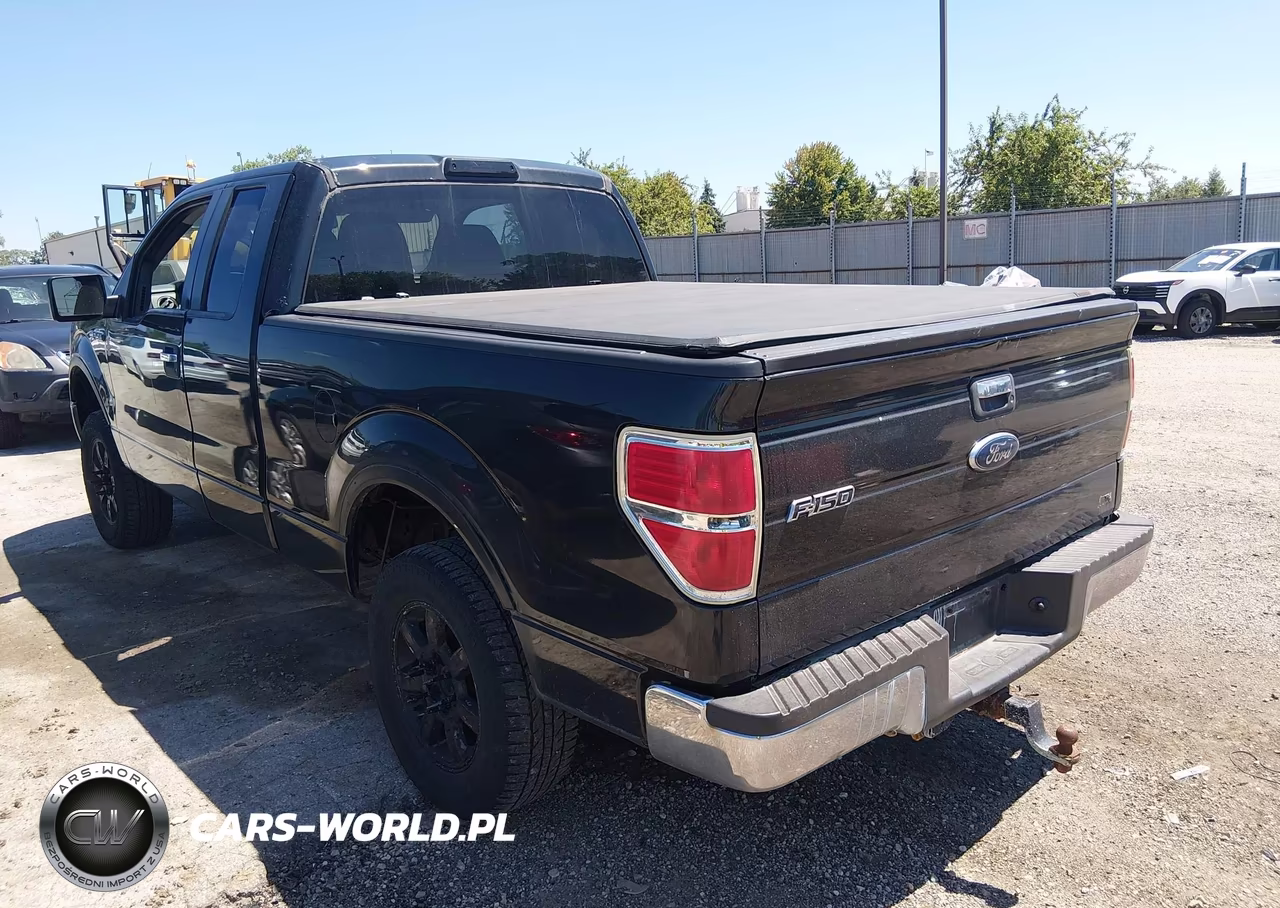 2010 Ford F-150 Fx4-Lariat-Xl-Xlt VIN:1FTFX1EV9AFD17709 - 3