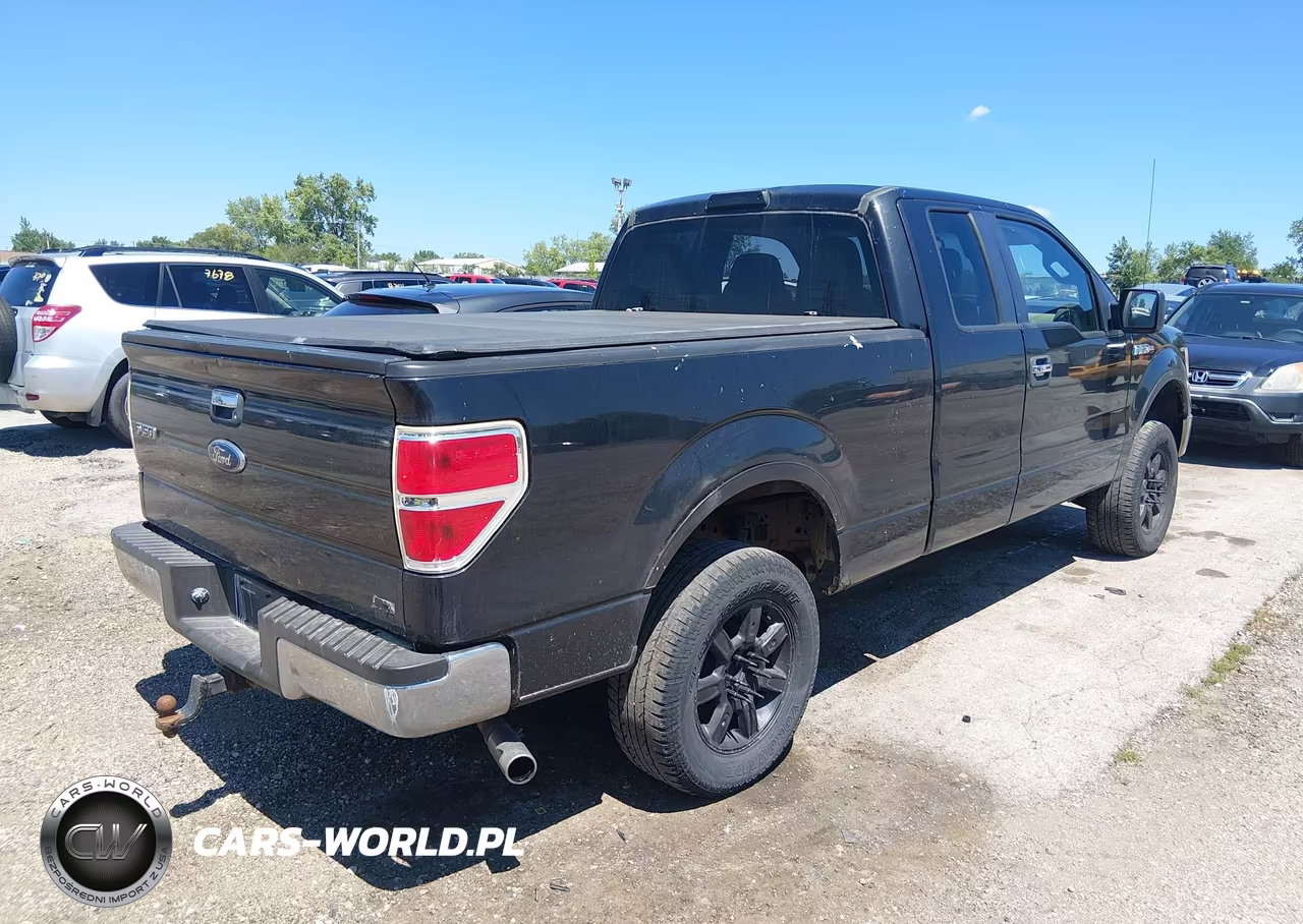 2010 Ford F-150 Fx4-Lariat-Xl-Xlt VIN:1FTFX1EV9AFD17709 - 4