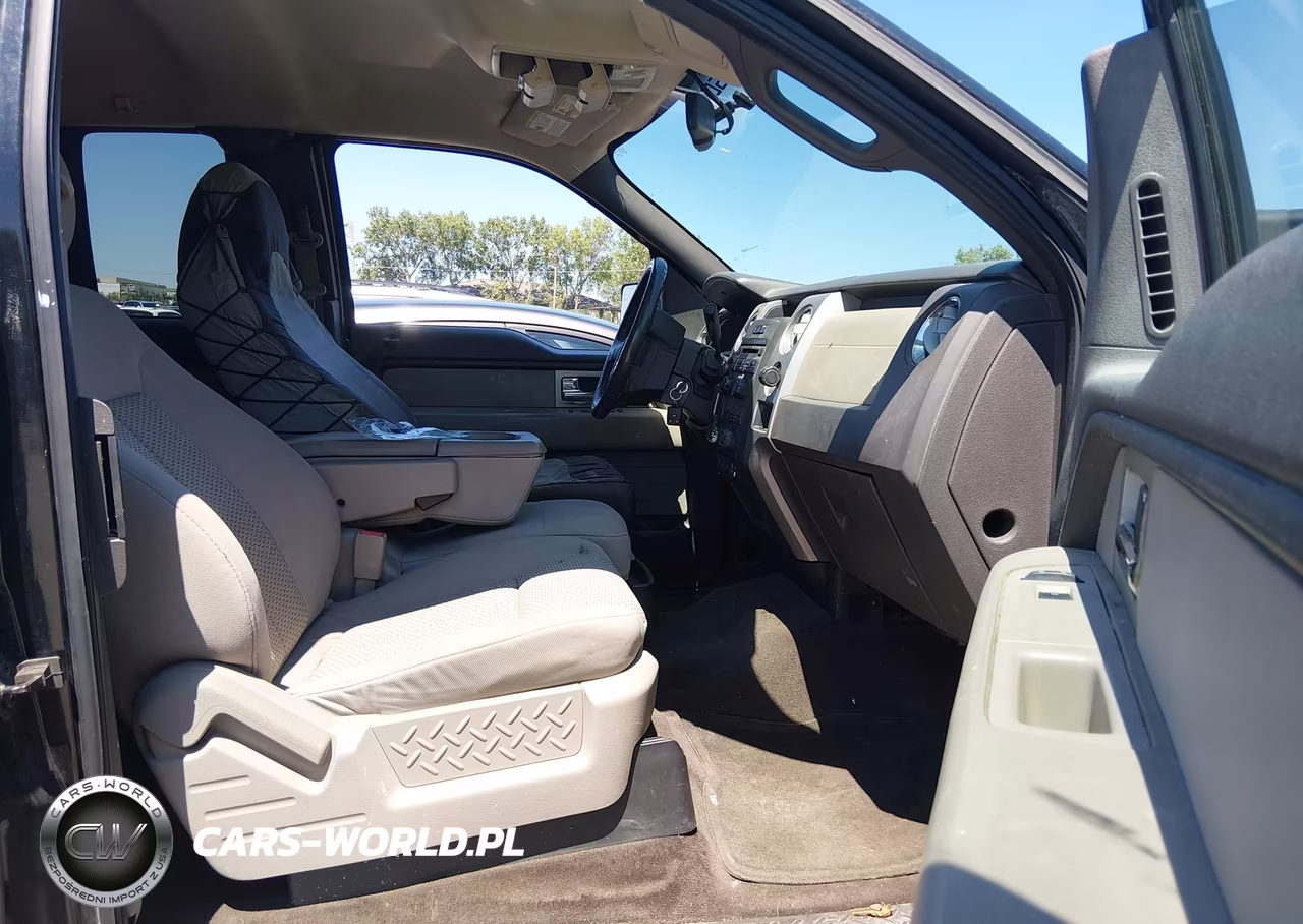 2010 Ford F-150 Fx4-Lariat-Xl-Xlt VIN:1FTFX1EV9AFD17709 - 5