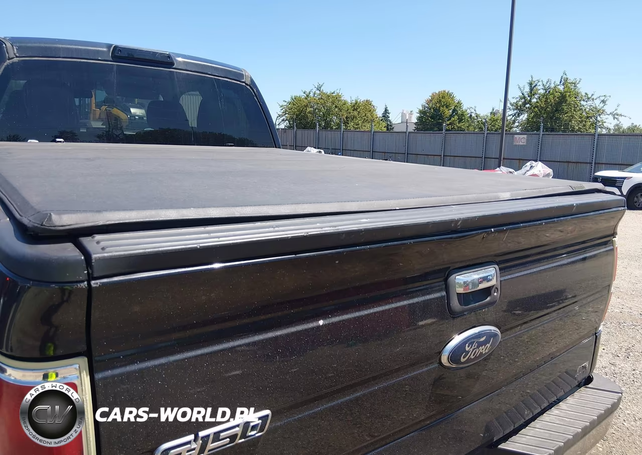 2010 Ford F-150 Fx4-Lariat-Xl-Xlt VIN:1FTFX1EV9AFD17709 - 6