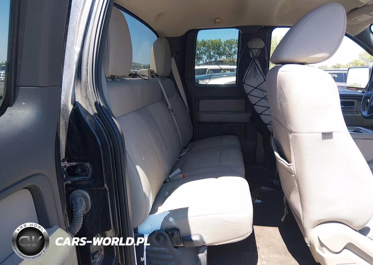 2010 Ford F-150 Fx4-Lariat-Xl-Xlt VIN:1FTFX1EV9AFD17709 - 8