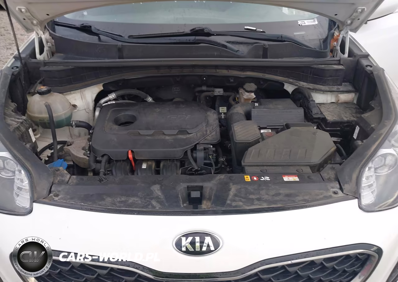 2020 Kia Sportage Lx VIN:KNDPMCAC9L7667867 - 10