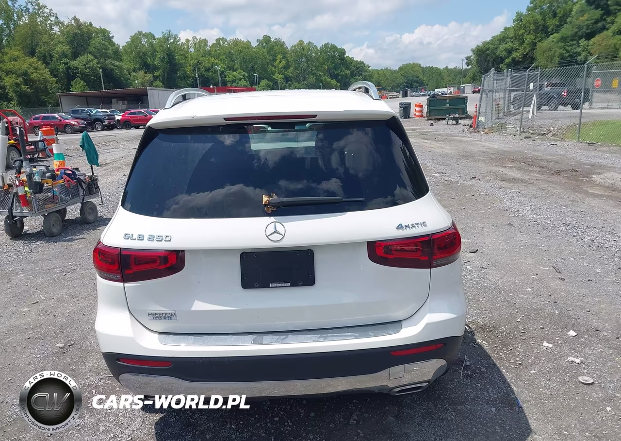 2023 Mercedes-Benz Glb 250 4Matic VIN:W1N4M4HB3PW323932 - 17