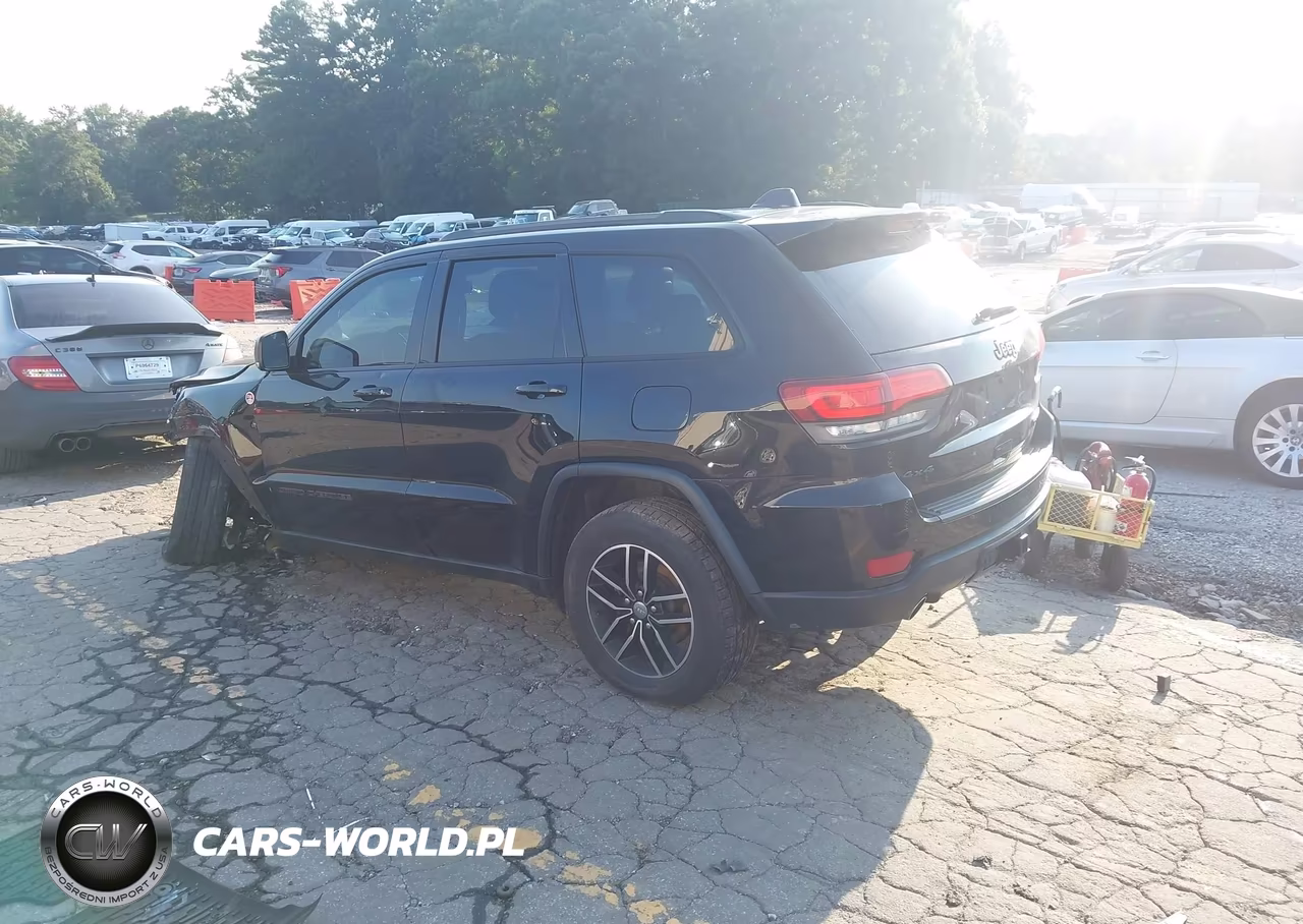 2017 Jeep Grand Cherokee Trailhawk VIN:1C4RJFLG9HC696030 - 3