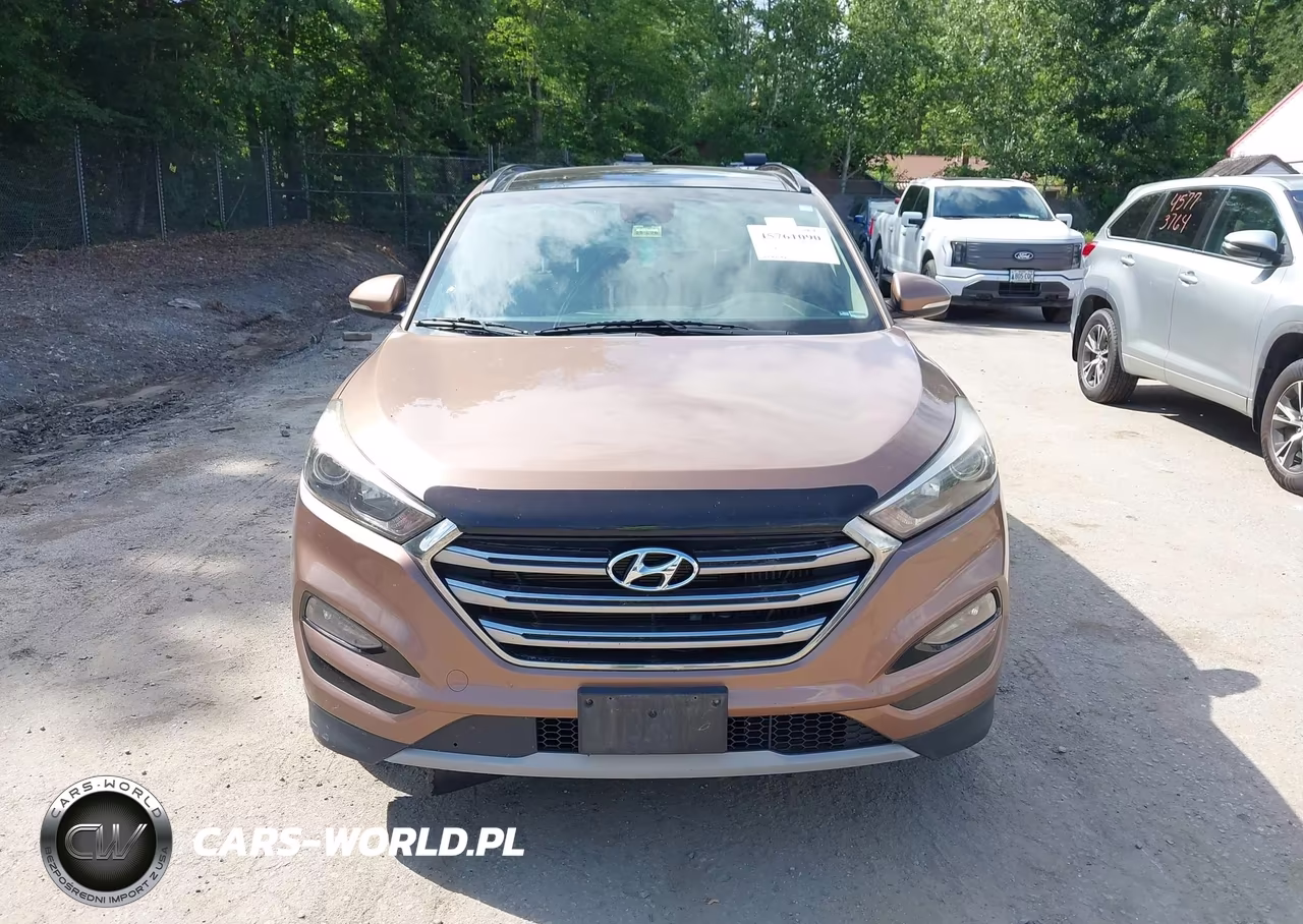 2017 Hyundai Tucson Limited VIN:KM8J3CA27HU372383 - 12