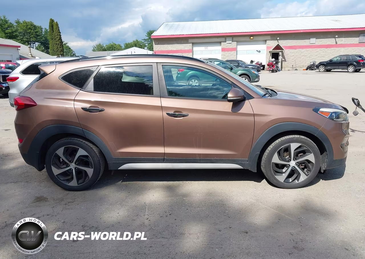 2017 Hyundai Tucson Limited VIN:KM8J3CA27HU372383 - 13