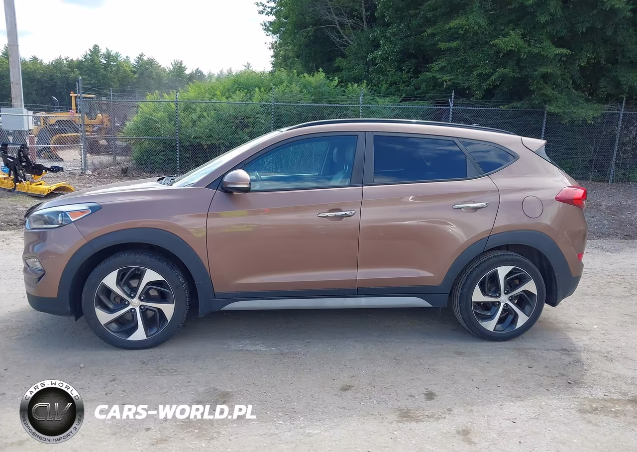 2017 Hyundai Tucson Limited VIN:KM8J3CA27HU372383 - 14