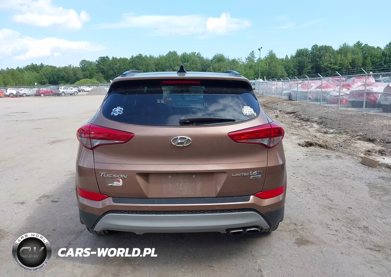 2017 Hyundai Tucson Limited VIN:KM8J3CA27HU372383 - 16