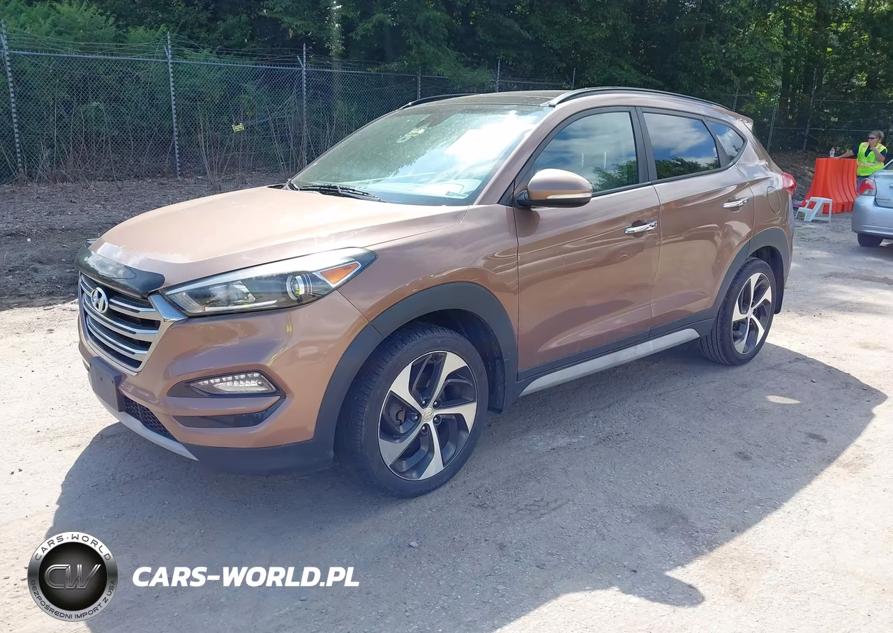 2017 Hyundai Tucson Limited VIN:KM8J3CA27HU372383 - 2