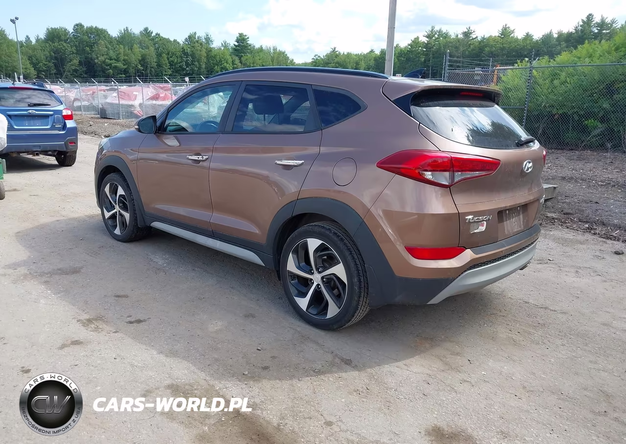 2017 Hyundai Tucson Limited VIN:KM8J3CA27HU372383 - 3