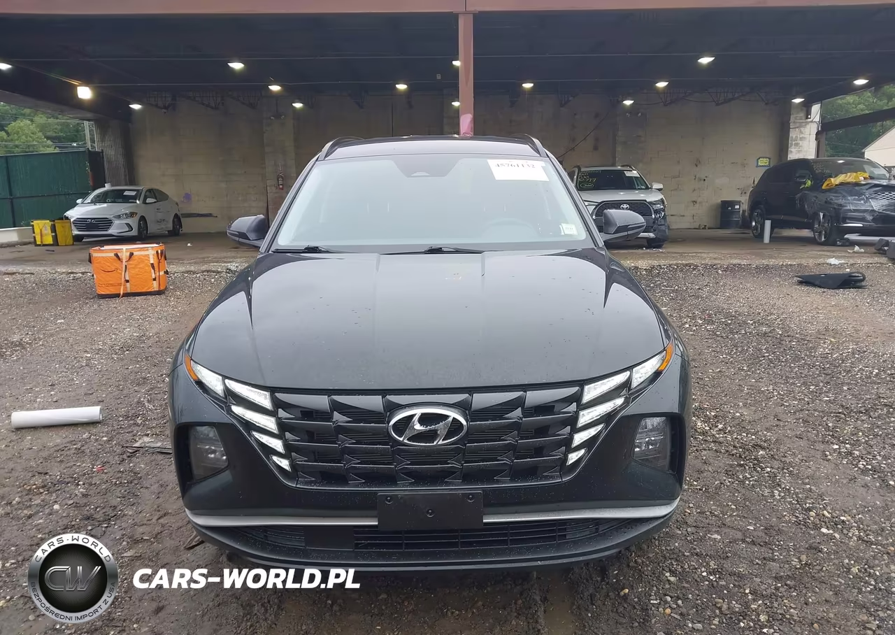 2023 Hyundai Tucson Sel VIN:5NMJBCAE2PH202052 - 12