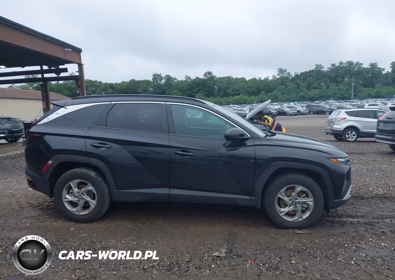 2023 Hyundai Tucson Sel VIN:5NMJBCAE2PH202052 - 13