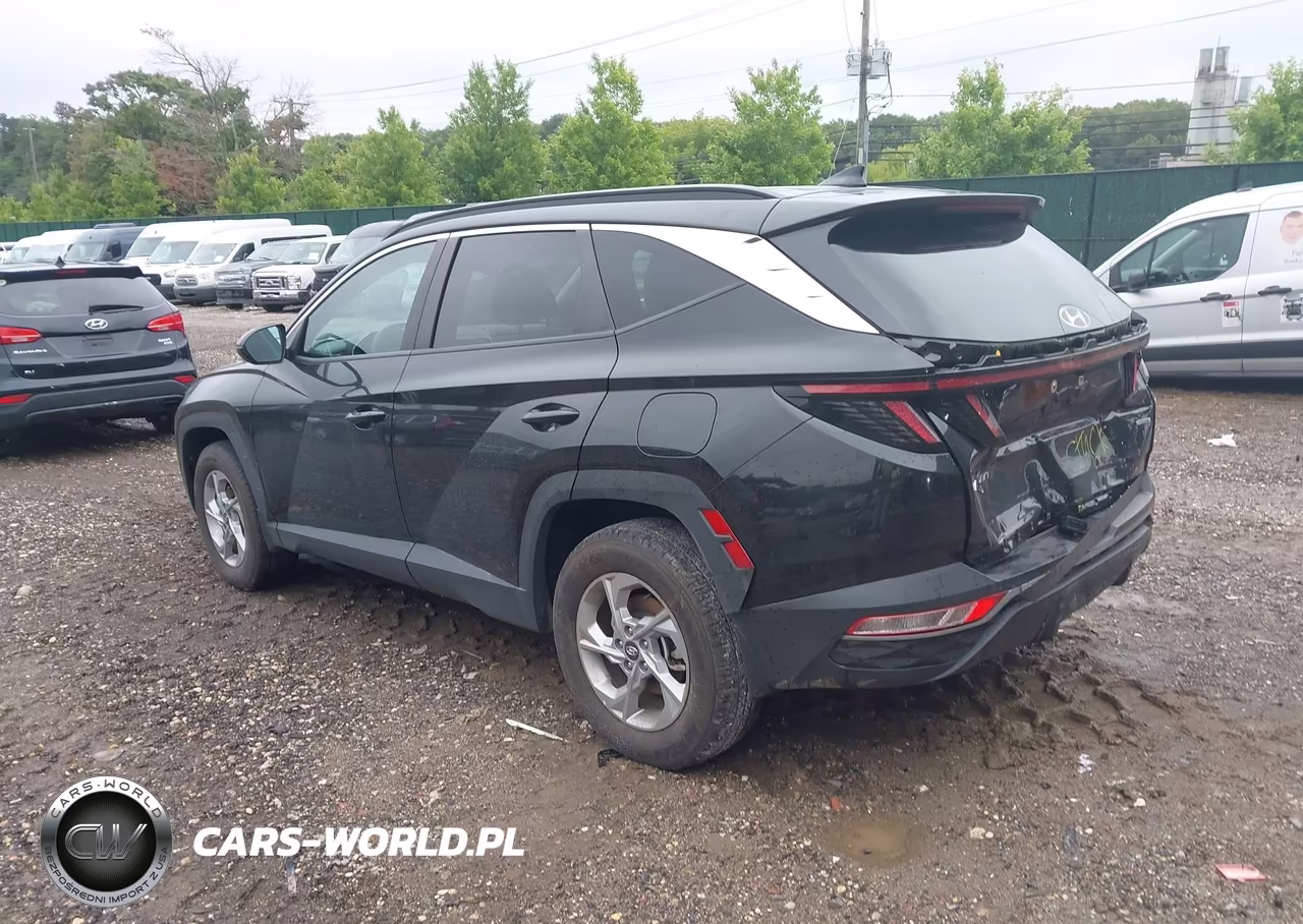 2023 Hyundai Tucson Sel VIN:5NMJBCAE2PH202052 - 3
