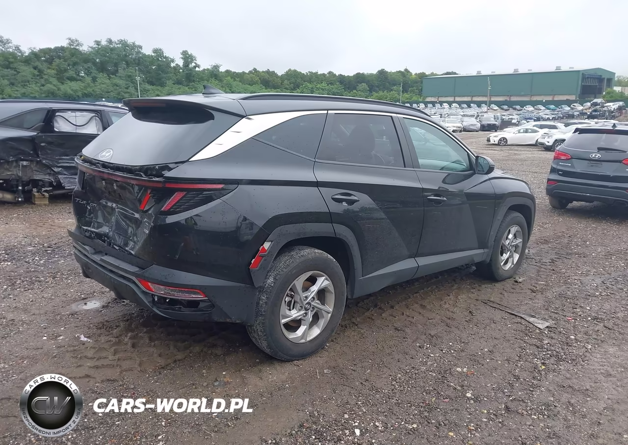 2023 Hyundai Tucson Sel VIN:5NMJBCAE2PH202052 - 4