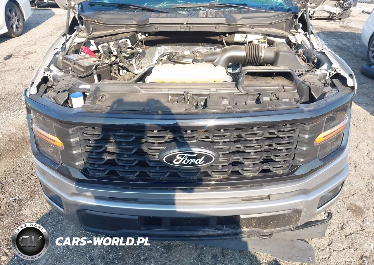 2025 Ford F-150 Stx VIN:1FTEW2LP2SKD26186 - 10