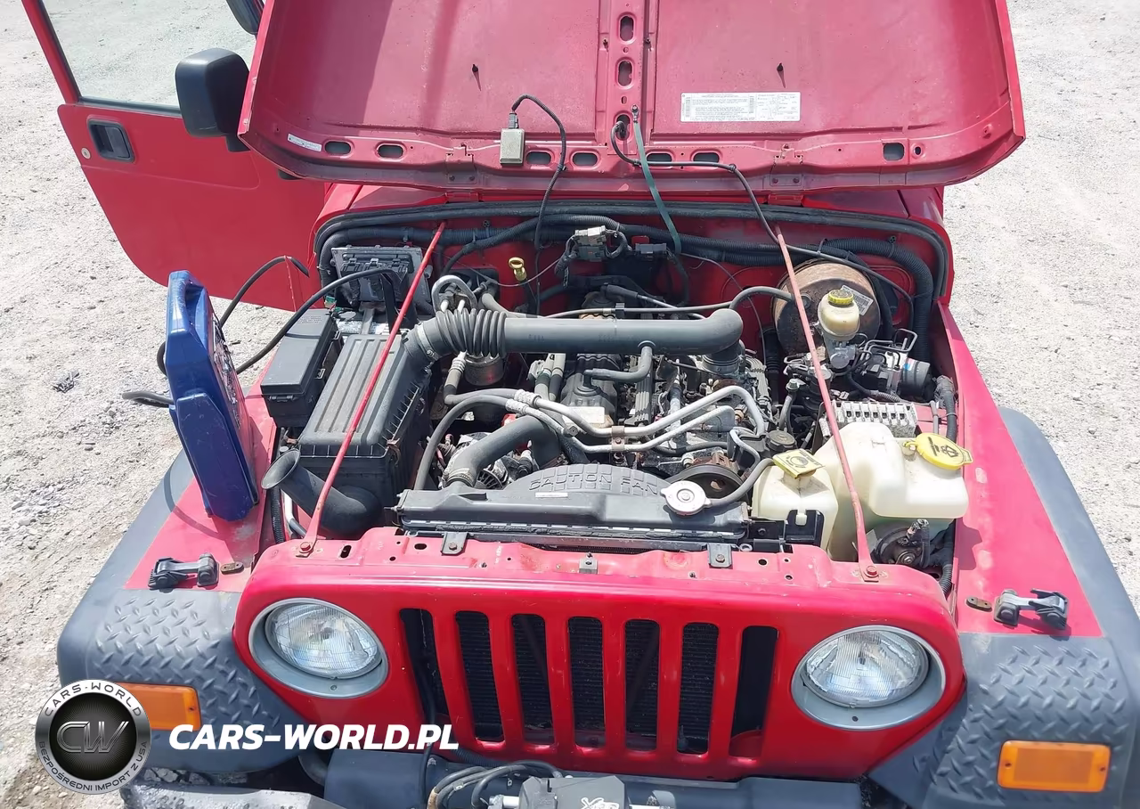 2003 Jeep Wrangler Sport VIN:1J4FA49S03P366498 - 10