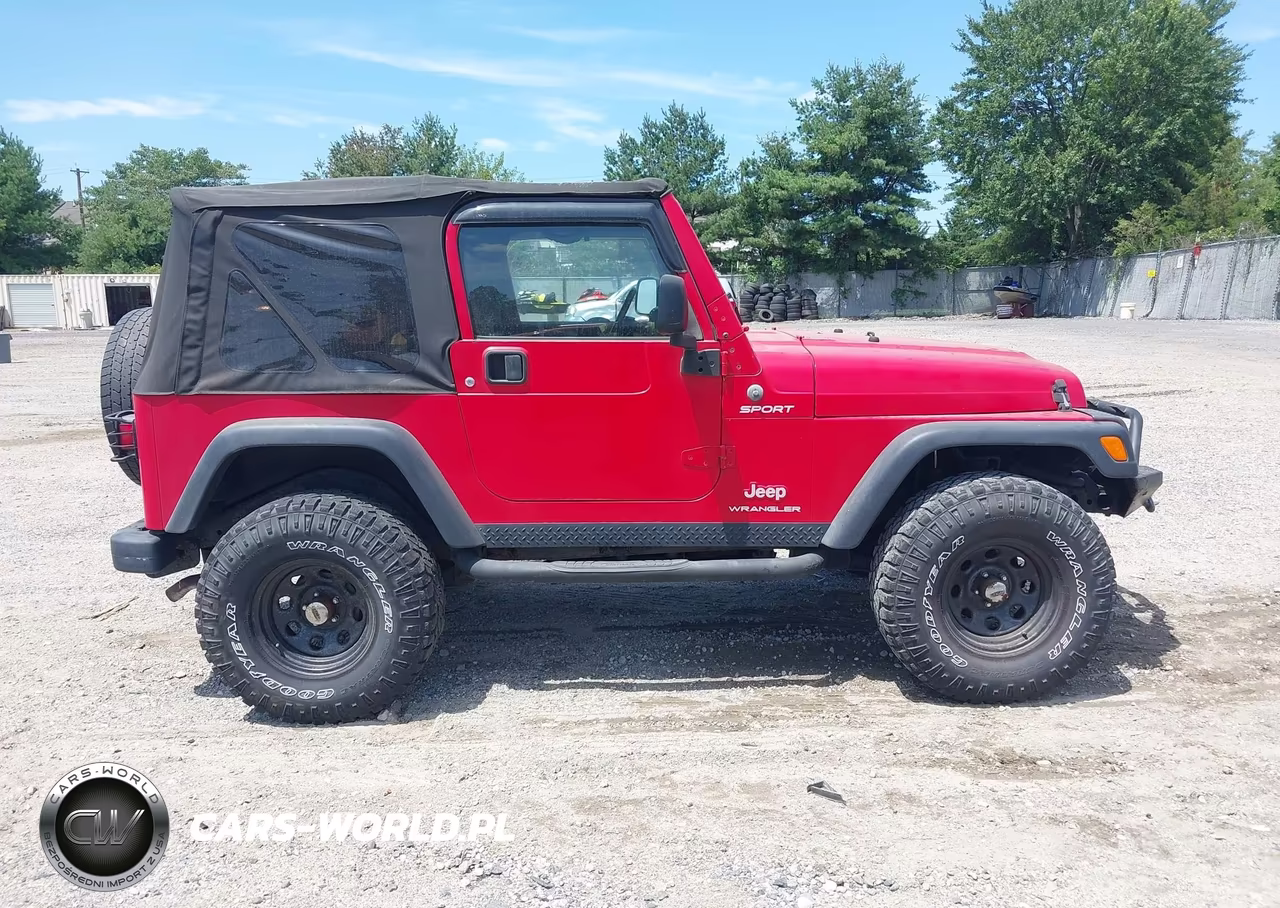 2003 Jeep Wrangler Sport VIN:1J4FA49S03P366498 - 13