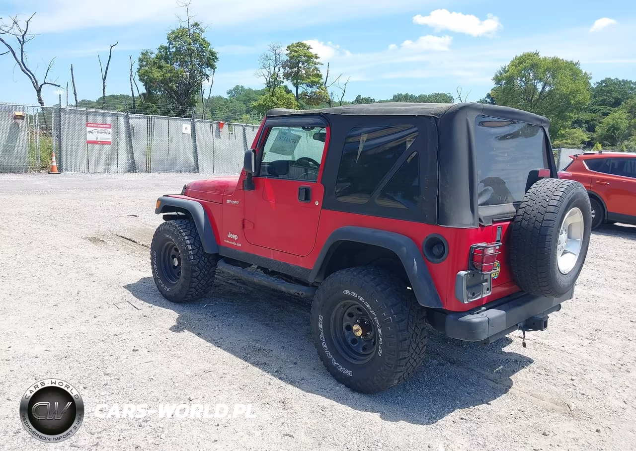 2003 Jeep Wrangler Sport VIN:1J4FA49S03P366498 - 3