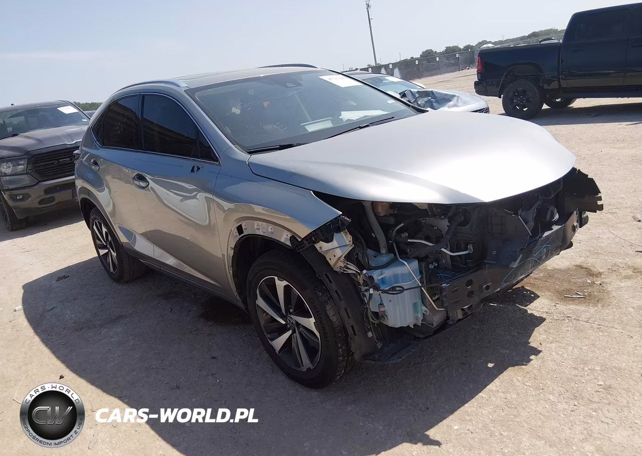 2020 Lexus Nx 300 VIN:JTJGARBZ5L2166290 - 1